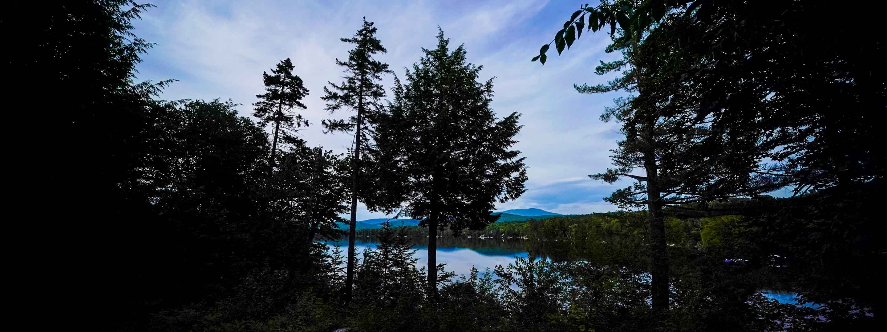 dark trees in front of a lake